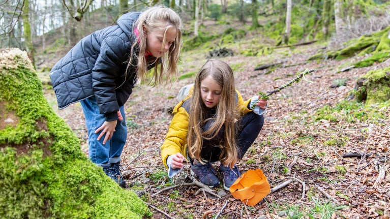 Two girls looking for nature in the woods at Allan Bank